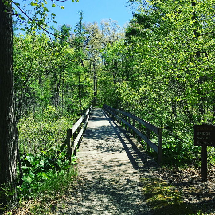 Kensington Metropark - 2016 Photo